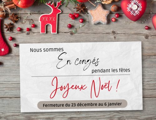 FÊTES DE FIN D’ANNÉE, DE RETOUR LE 6 JANVIER 2025